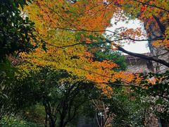 -中国茶叶博物馆(双峰馆区)