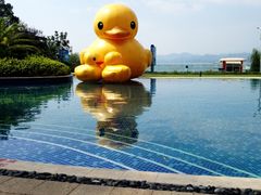 iphone_upload_pic-绿城千岛湖喜来登度假酒店