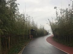 -上海长兴岛郊野公园