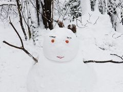 -九峰山