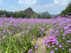 -百里山水画廊