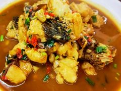 -全乐鱼馆·淳牌有机鱼直营店
