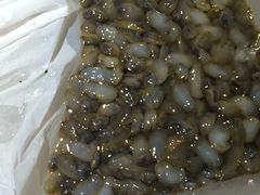 -宁波汉通海鲜大酒店(江湾店)