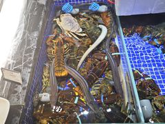 -高佳庄·舟山海鲜(海景旗舰店)