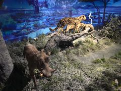 -国家自然博物馆