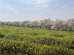 -凤凰沟景区