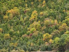 -九寨沟-树正沟