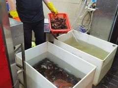 -龙虾奇迹(大华三路店)