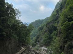 -洛阳白云山景区