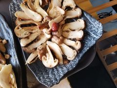 -蘑统田下·野生菌火锅