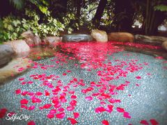 -厦门日月谷温泉渡假村