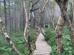 -白草畔自然风景区