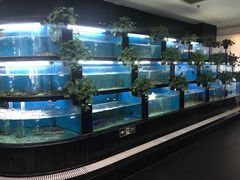 水产区-王家渡火锅店(棕榈泉店)