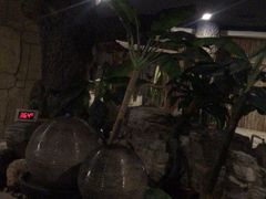 -静之湖湖畔餐厅