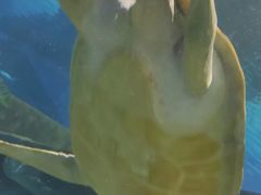 -福州罗源湾海洋世界旅游区