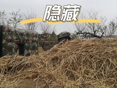 -亲兄弟真人CS团建拓展基地