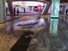 -喜来稀肉(北外滩白玉兰广场店)