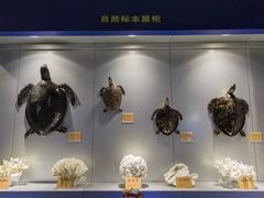 -福州罗源湾海洋世界旅游区