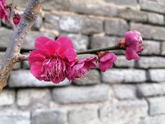-北京明城墙遗址公园