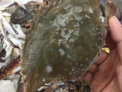 -盒马鲜生(大成店)