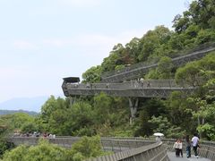 -福道