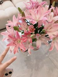 -倩极·精研痘敏肌管理