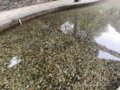 -融汇温泉