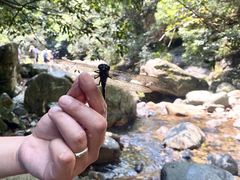 -太湖源风景区