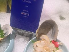 -海鼎荟海鲜姿造(晋江宝龙店)