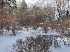 -黑龙江中医药大学