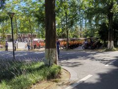 -黄海国家森林公园