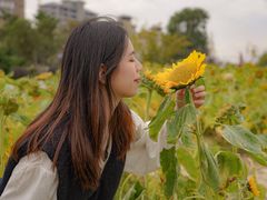 -瑶湖郊野森林公园