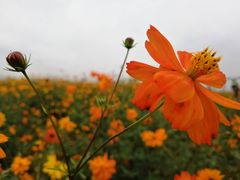-天河潭旅游度假区