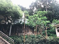 -人民公园(罗湖区)