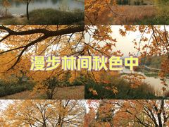 -北京植物园南门售票处