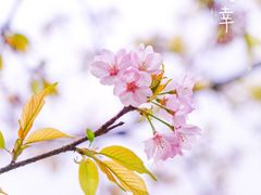 -静安雕塑公园