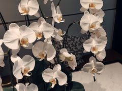 -Peet's Coffee皮爷咖啡(万象天地店)