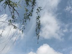 -白塘生态植物园