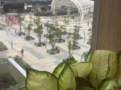 -润园四季椰子鸡火锅(南山海岸城店)