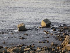 -上海山野camping·户外天幕烧烤·团建拓展营地