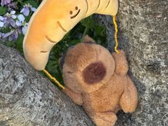 -白塘生态植物园