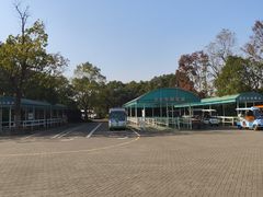 -上海海湾国家森林公园