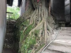 -福宝古镇