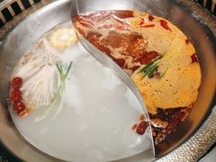 -辣伍鲜毛肚老火锅(元一店)