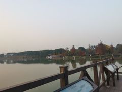 -海珠湖公园