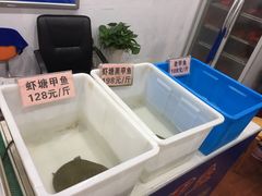 -德清诚信农产品莫干湖甲鱼直销店