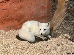 -Zoolung Zoolung动物主题公园(海信广场店)