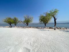 -西昌邛海湾柏樾酒店(原邛海湾柏栎度假酒店)