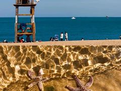 -巧克力渔家.小船海鲜家常菜(万平口店)