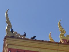 -洛阳白马寺